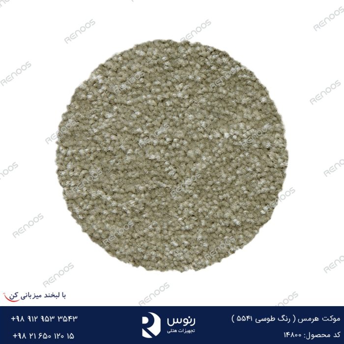 ⁦موكيت Hermes⁩ - الصورة ⁦3⁩