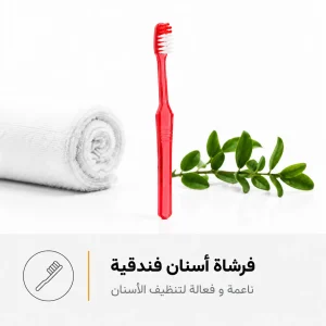 فرشاه الاسنان الفندقي
